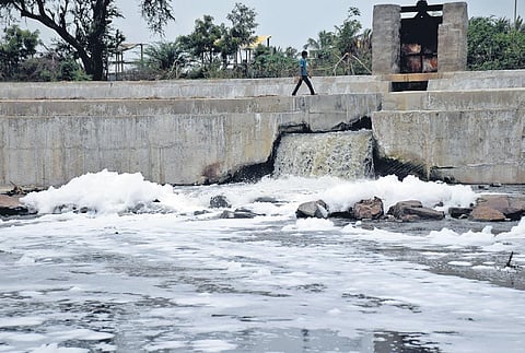 A picture of the Noyyal River flowing through Pattanam check dam in Coimbatore | U Rakesh Kumar