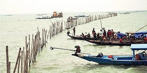 Image of Odisha's prawn farms used for representation. (File Photo)