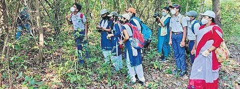 A group participates in the nature trail during ‘Spider Talks’ exploration trip. (Photo| EPS)