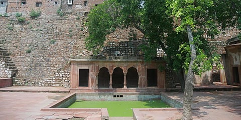 The city has several lesser-known heritage sites like this Jharna in Mehrauli. (Photo| Special Arrangement)