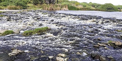 Residents noticed froth at the point where the Noyyal joins the Cauvery | Express