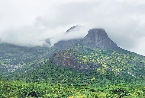 A view of the site proposed for the India-based Neutrino Observatory (INO) project in Theni district | Express