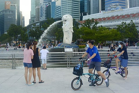 Cyclists wearing faces masks pass near the Merlion statue, a popular tourist attraction in Singapore. (Photo | AP)