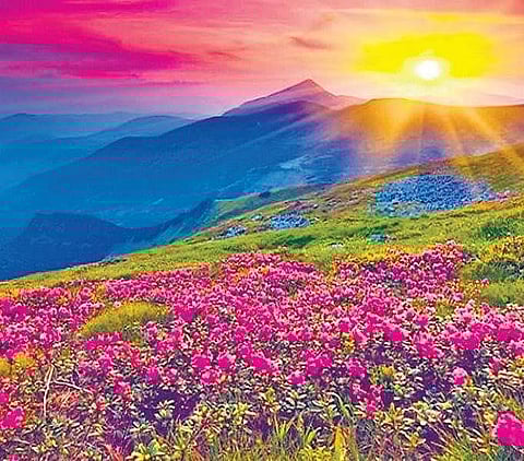 Farah Bashir’s 'Rumours of Spring' navigates the challenges of living in the lethal shadow of Kashmir in the 90s