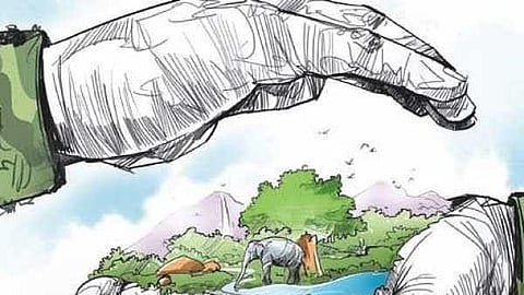 Poaching. Image for representation