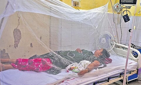A patient suffering from dengue fever rests under a mosquito net at the ward of a government hospital in Allahabad on Saturday | PTI