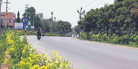 Representational image (Photo| EPS)