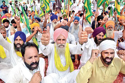 FILE | Farmers protest against Haryana Police and the Union government over the lathicharge incident, in Amritsar on Sunday | PTI