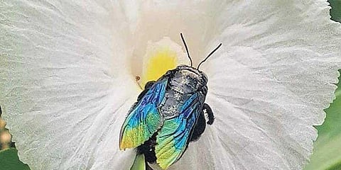 Image for representational purpose only