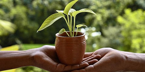 To encourage an ‘ecological wall’ by restoring vast swathes of hills lost to urbanisation, mining, and other commercial activities. (Representational Photo)