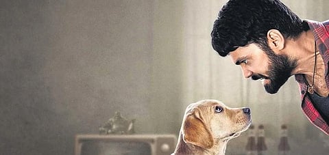 A still from 777 Charlie