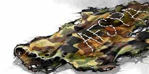 For representational purposes (Soumyadip Sinha | Express Illustrations)