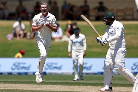 Blackcaps Kyle Jamieson, left, celebrates Bangladesh's Yasir Ali, right, being caught during play on day four of the first cricket test between Bangladesh and New Zealand at Bay Oval. (Photo | AP)