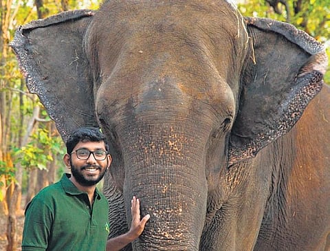 Pining for a peaceful tomorrow for people and pachyderms