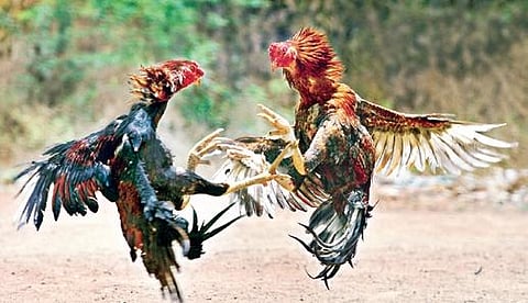 Representational Image