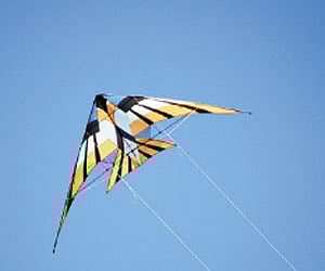 The nylon threads used to fly kites (Image for Representational Purpose| EPS)