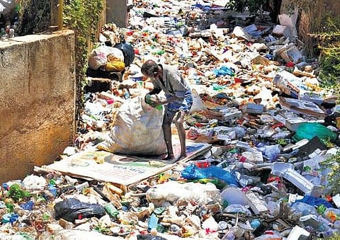 A man collects plastic bottles from a dumpyard in Thampanoor| Vincent Pulickal