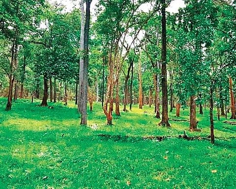 Representational Image