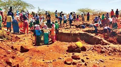 MGNREGS work underway.