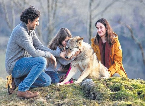 Stills from Vicky And Her Mystery