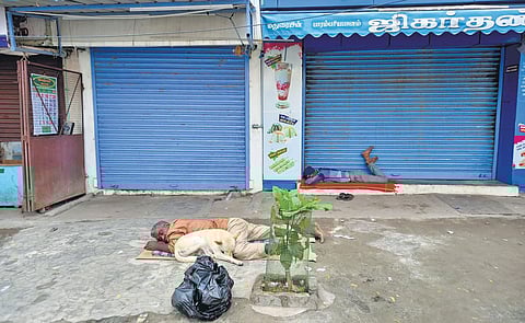 A homeless man taking a nap with his dog near the Tiruchy railway junction on Sunday. (Photo| Jose K Joseph, EPS)