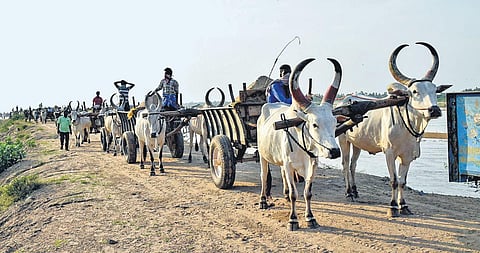 Lorry owners say opening only a few quarries will lead to black marketing. (File photo| EPS)