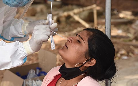 A health worker collects swab sample for Covid test in Bengaluru. (Photo | Nagaraja Gadekal, EPS)
