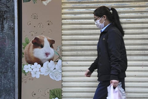 A pet shop is closed after some pet hamsters were, authorities said, tested positive for the coronavirus, in Hong Kong, Tuesday, Jan. 18, 2022. (Photo | AP)