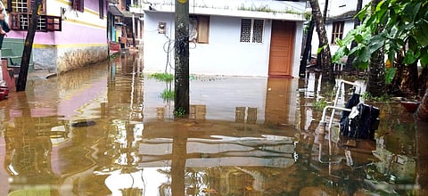 A water-logged areas at Pulluvila in Karumkulam panchayat.
