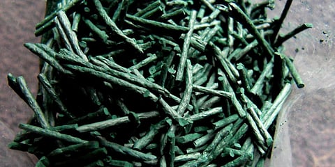 Image of 'Spirulina' used for representational purposes only.