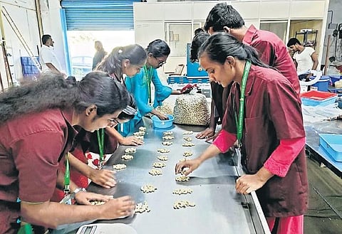 Students of the College of Horticulture at Mojerla in Wanaparthy undergo training