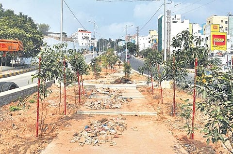 GHMC officials are now focused on developing a wide central median along the Film Nagar-Kotha Cheruvu (Jubilee Hills circle) stretch | S Senbagapandiyan