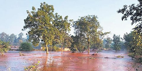 Farmland submerged in iron ore slurry in Banjhiberana village. (Photo | EPS)
