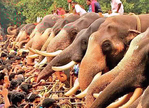 Representational picture