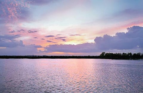 Image used for representational purpose.