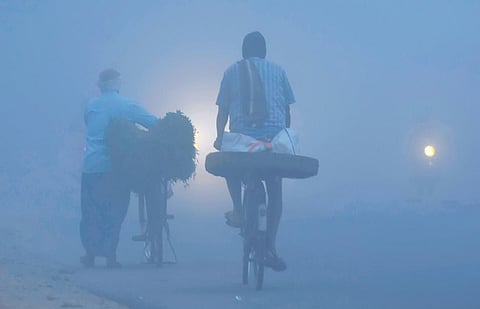 Image used for representational purpose. (Photo | Udayshankar S, EPS)