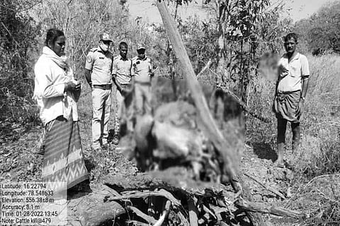 The forest officials found the dead goats at Rayunigundla area deep inside the forest.