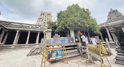 Sri Ekambareswarar Temple
