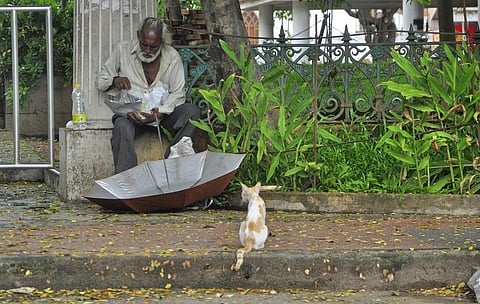 An elderly destitute man having his lunch supplied by a voluntary organisation, while a kitten looks on, at Gandhi Park in Thiruvananthapuram.