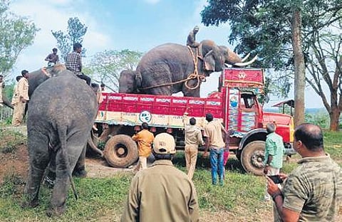 Image used for representational purpose only.