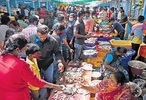 Following a relaxation in lockdown norms, buyers crowd the Chintadripet Fish Market on Sunday. (Photo | Express)