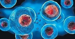 Covid hits blood stem cell donation