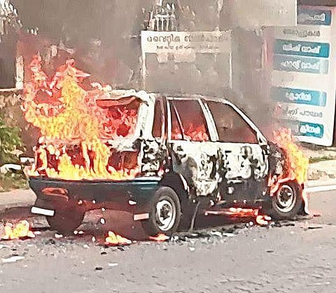 Beetles or bad batteries? Charred cars prompt probe