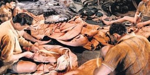 Leather industry (Representational Image)