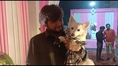 Chirag Patel and his brother Urvish Patel, had thrown a big party on the birthday of their pet dog. (Photo | ANI Twitter)