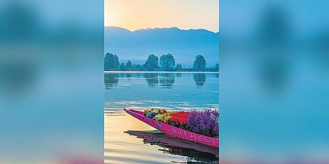 The 2-day festival will begin in Srinagar on October 19. (Photo |Express)