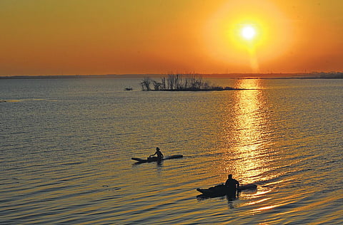 Surplus water from the Chembarambakkam reservoir is released into the Bay of Bengal as the Adyar river cannot hold the excess water | shiba prasad sahu
