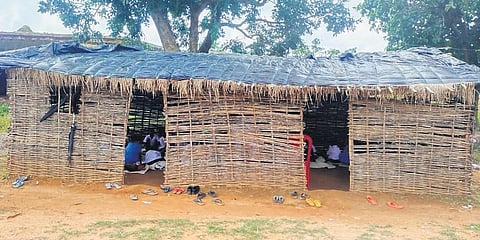 Ghumardora Primary School running from the makeshift shanty | Express