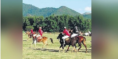 Manipuri pony will soon trot back to take centre stage. (Photo | Express)
