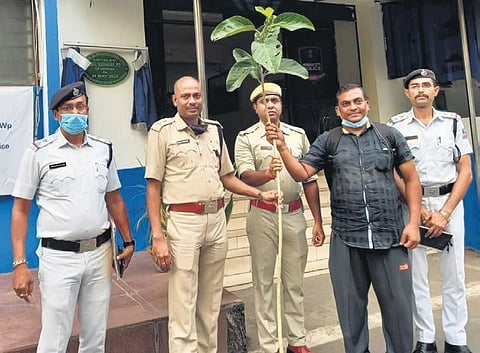 Shyamal Jana has planted more than 600 trees across West Bengal. His aim is to plant 5,000 banyan trees in five years | EXPRESS